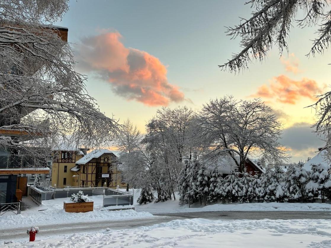Studio A105 Stary Smokovec Hrebienok Vysoké Tatry Esterno foto