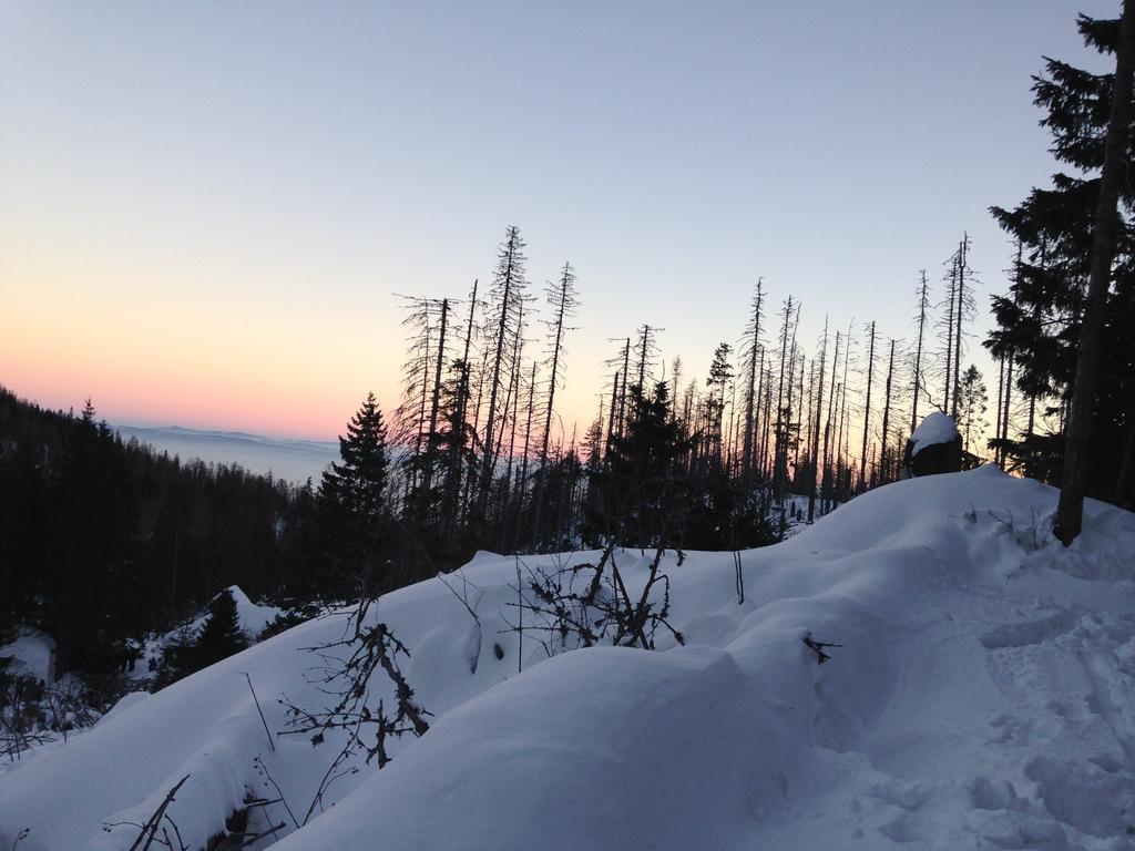 Studio A105 Stary Smokovec Hrebienok Vysoké Tatry Esterno foto