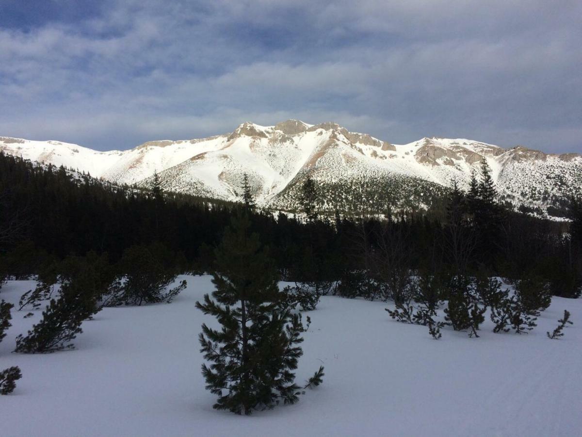 Studio A105 Stary Smokovec Hrebienok Vysoké Tatry Esterno foto